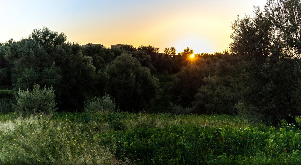 Tazrou Riad Sougtani מראה חיצוני תמונה
